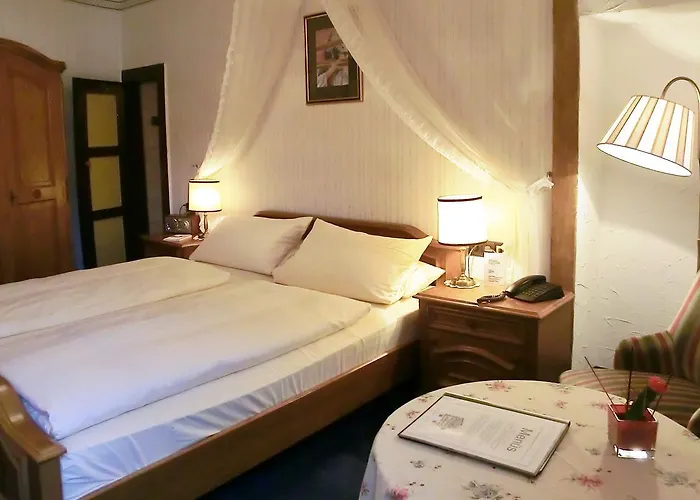 & Goldene Rose 5* ディンケルスビュール